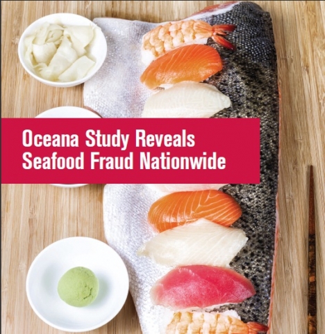 Seafood fraud 1